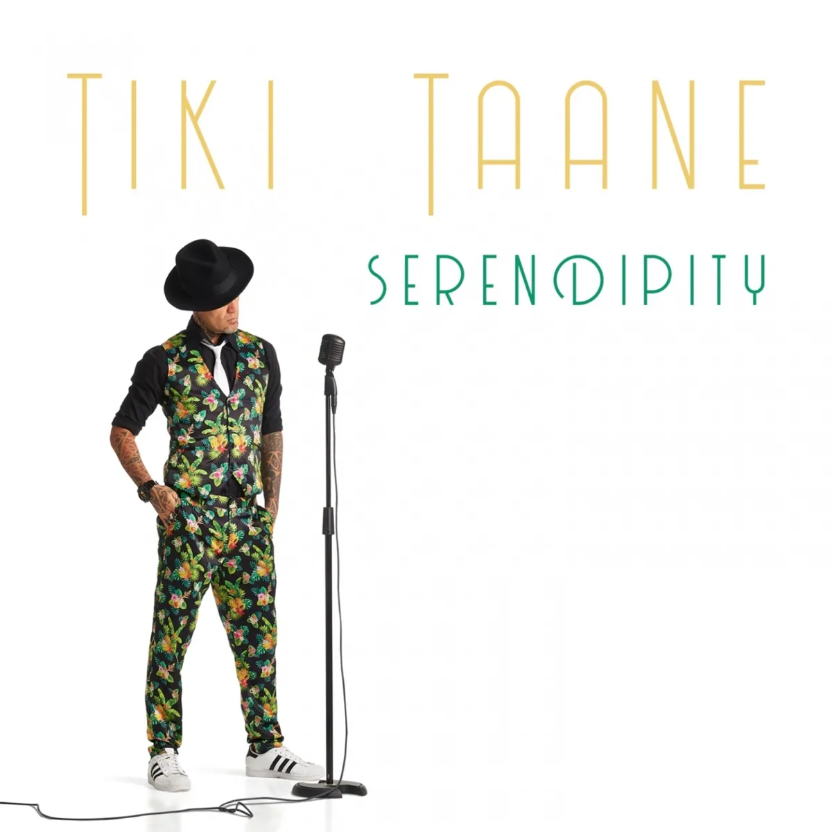 Serendipity by Tiki Taane cover