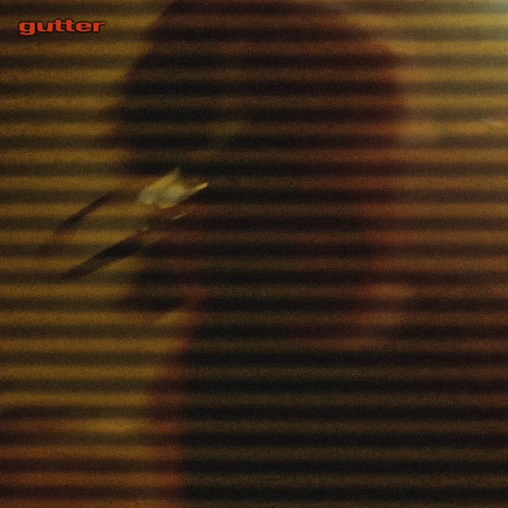 Gutter by IVY cover