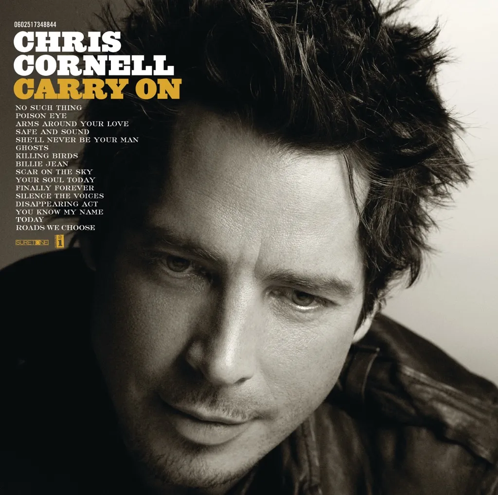 Carry On by Chris Cornell cover