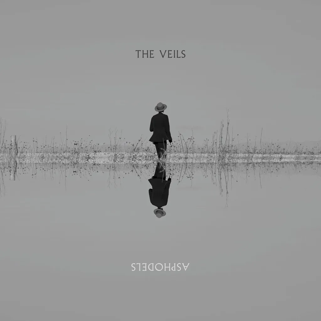 Asphodels by The Veils cover