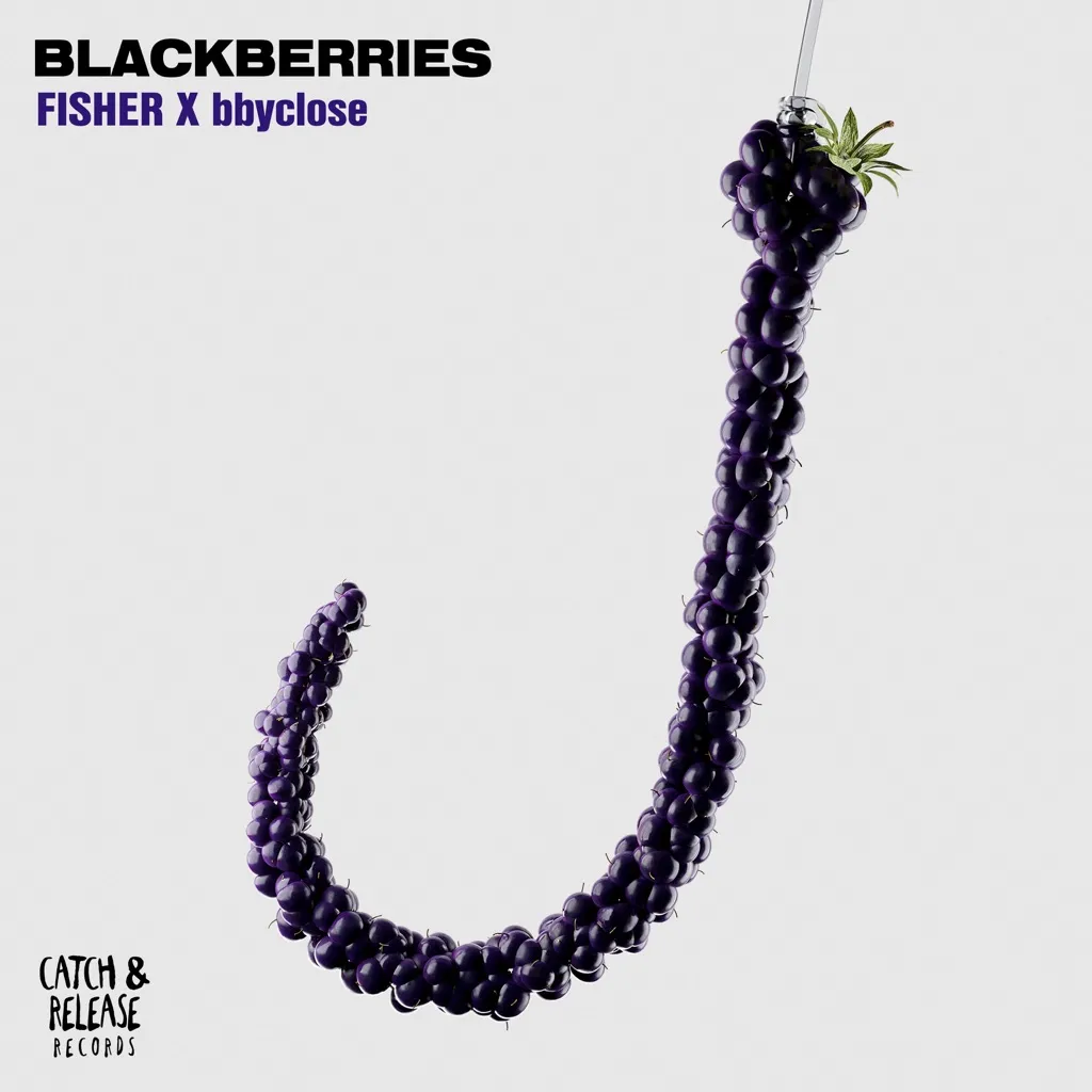 Blackberries by FISHER And bbyclose cover