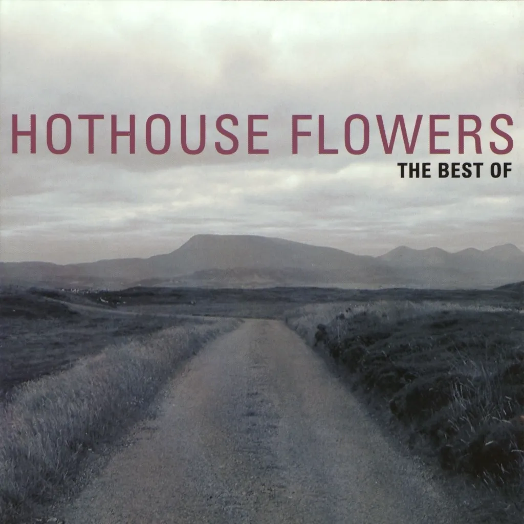 I'm Sorry by Hothouse Flowers cover