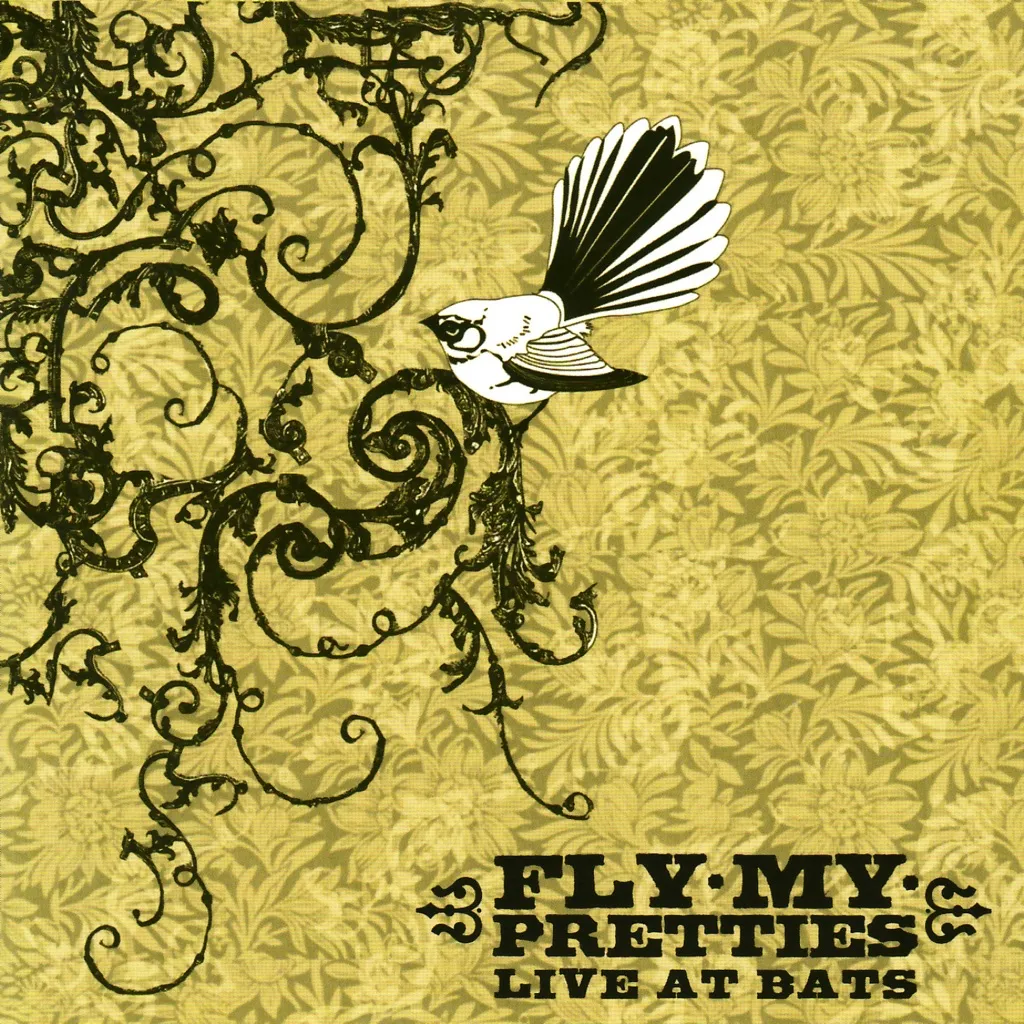 All The Goodness by Fly My Pretties feat. Barnaby Weir cover