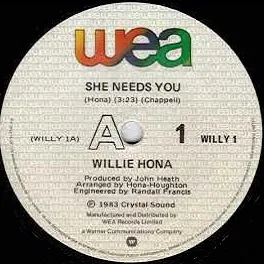 She Needs You by Willy Hona cover