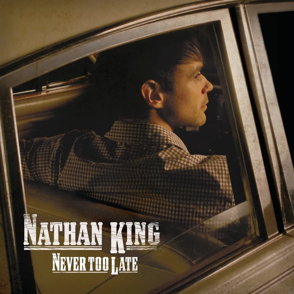 Never Too Late by Nathan King cover