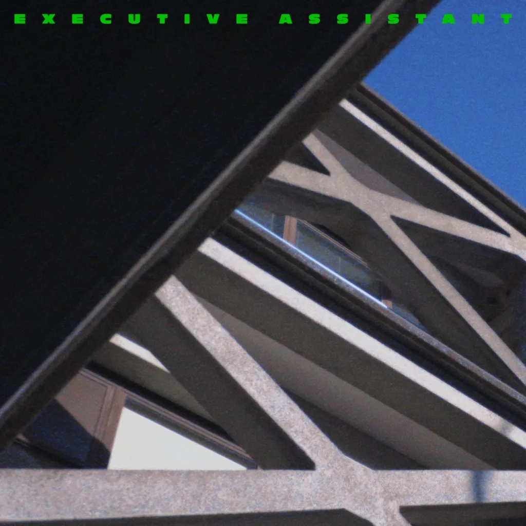 Executive Assistant by Anthonie Tonnon cover