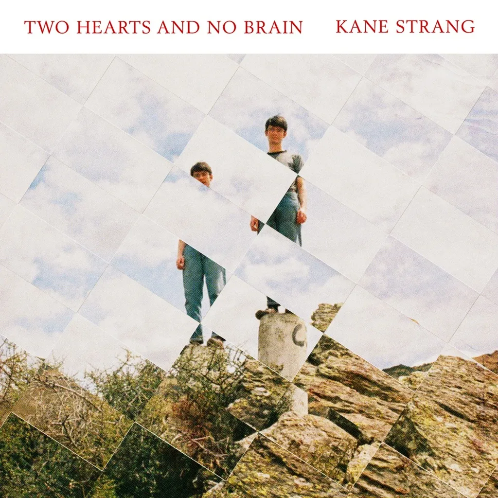 Two Hearts And No Brain by Kane Strang cover