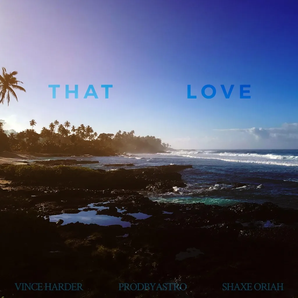 That Love by Vince Harder feat. Shaxe Oriah cover