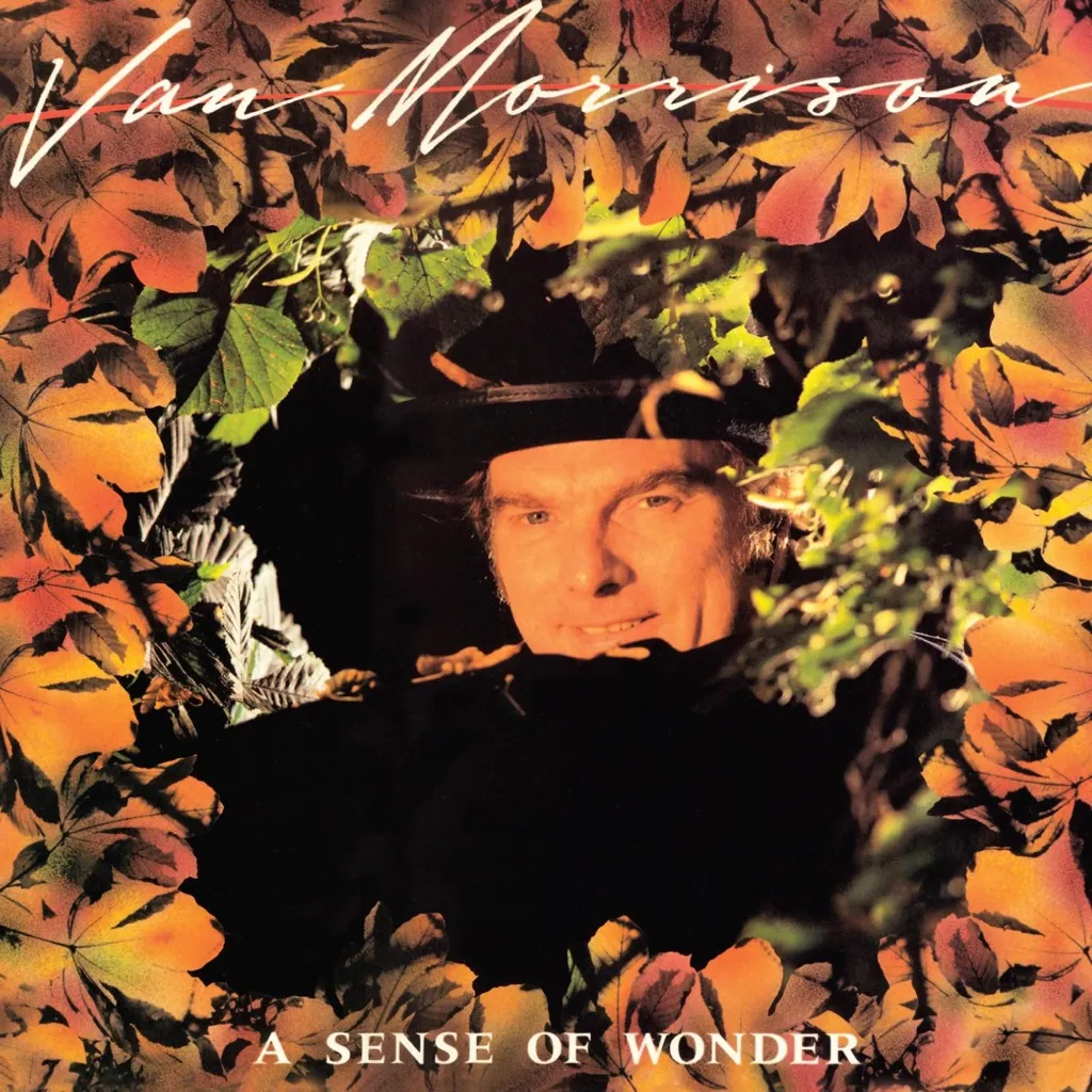 A Sense Of Wonder by Van Morrison cover