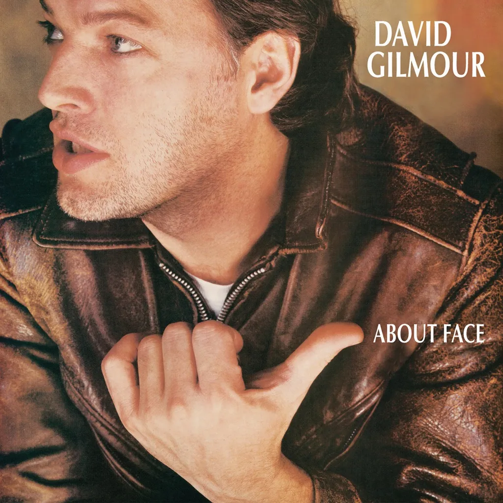 About Face by David Gilmour cover