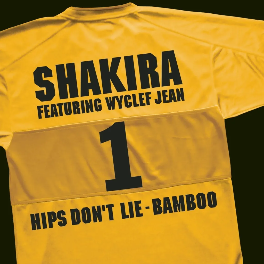 Hips Don't Lie by Shakira feat. Wyclef Jean cover