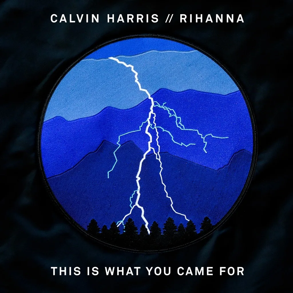 This Is What You Came For by Calvin Harris feat. Rihanna cover