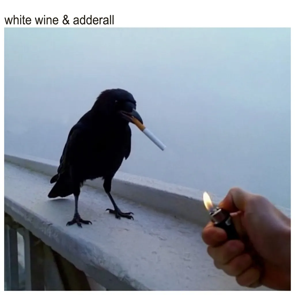 White Wine & Adderall by The Chainsmokers And Beau Nox cover