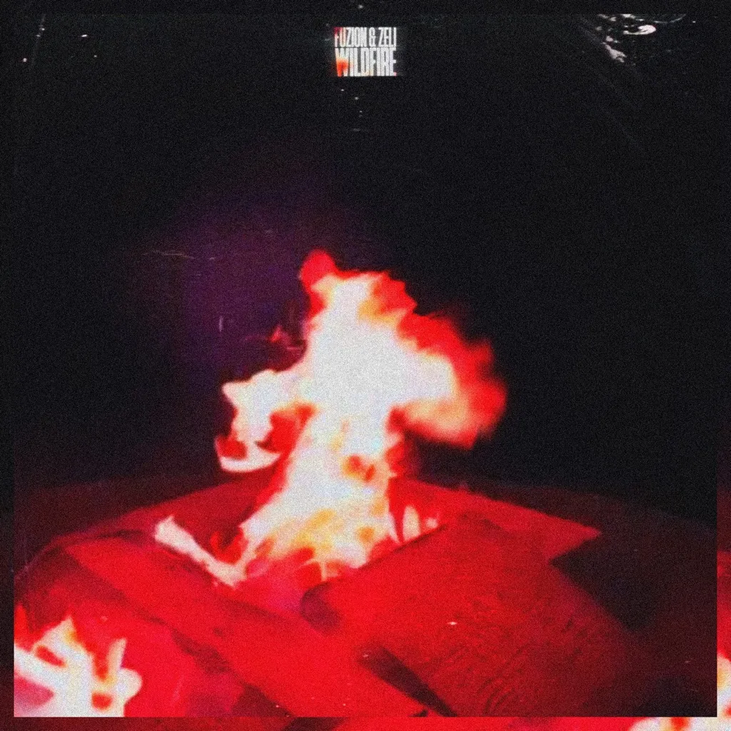 Wildfire by Fuzion And Zeli cover