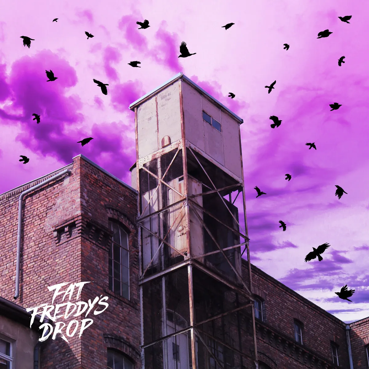 Mother Mother (Feiertag Remix) by Fat Freddy's Drop cover