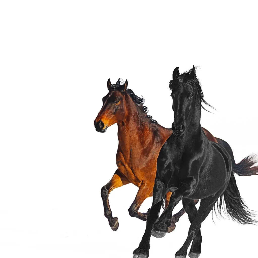 Old Town Road (Remix) by Lil Nas X feat. Billy Ray Cyrus cover