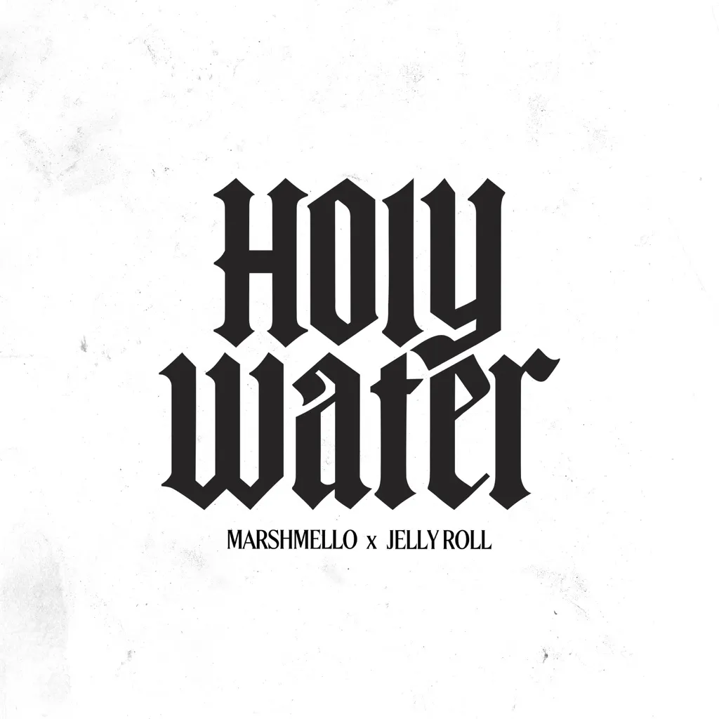 Holy Water by Marshmello And Jelly Roll cover