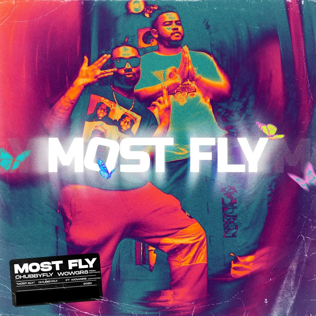 Most Fly (WowGr8 Remix) by Chubby Fly cover