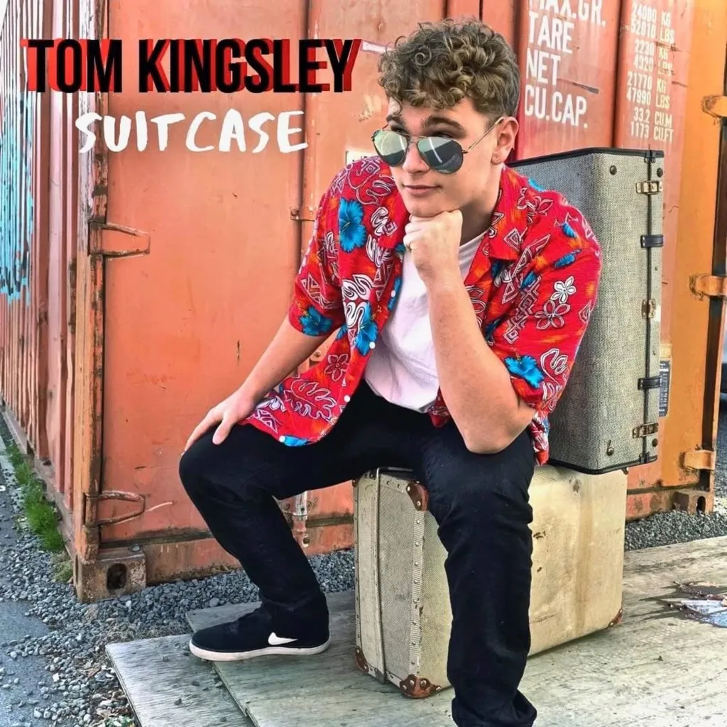 Suitcase by Tom Kingsley cover