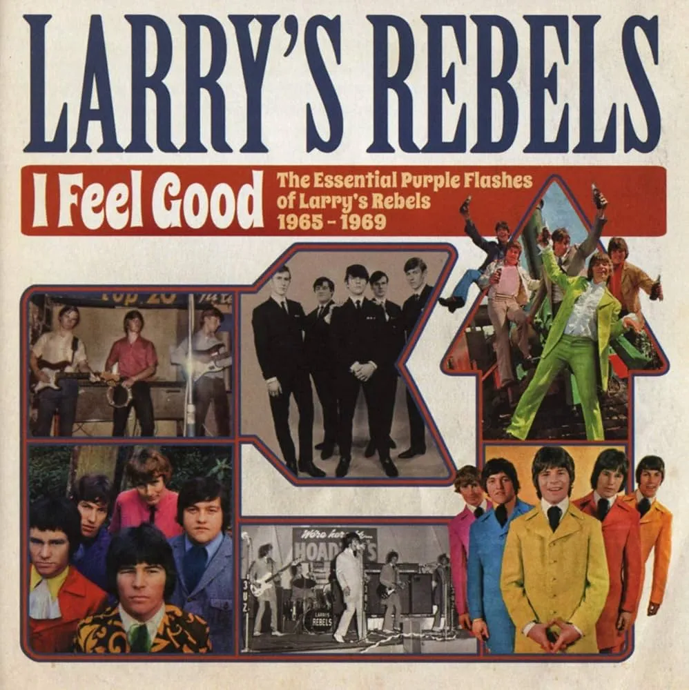 I Feel Good: The Essential Purple Flashes by Larry's Rebels cover