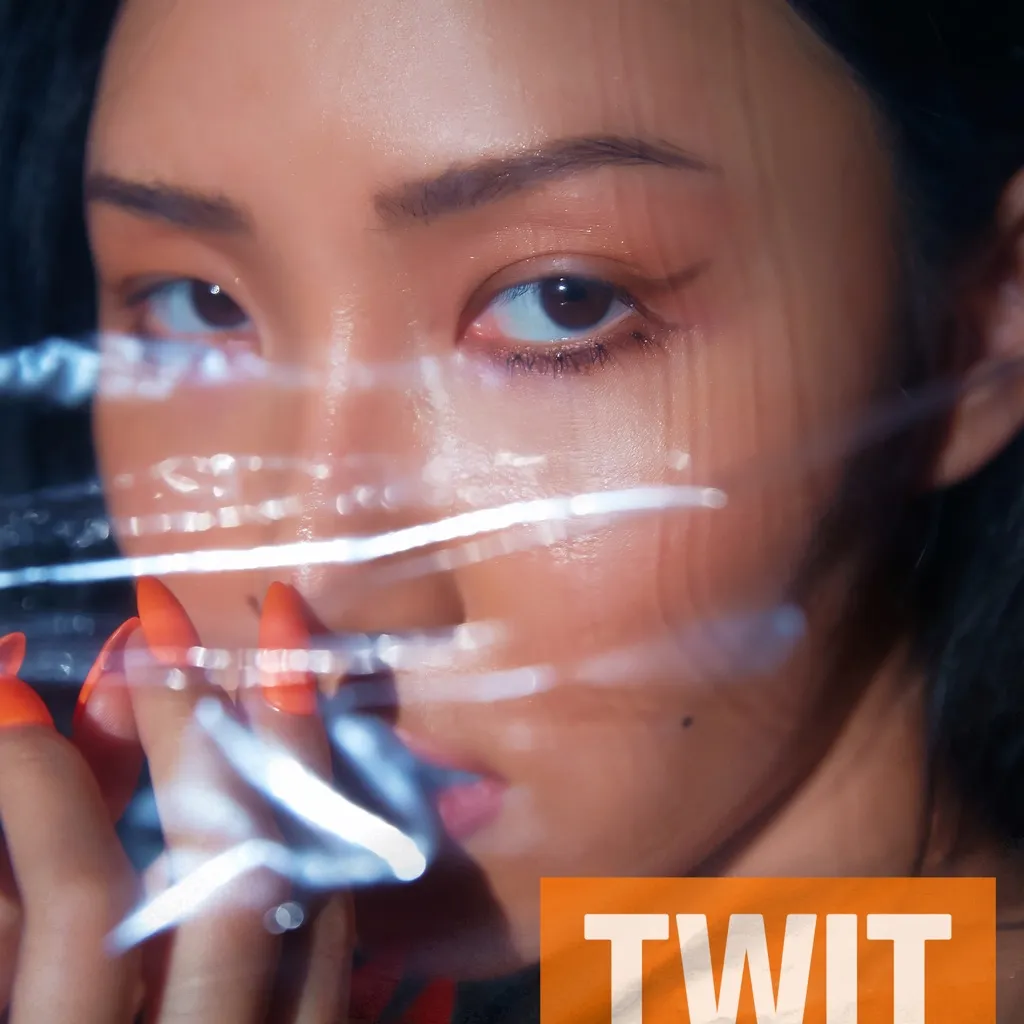 TWIT by Hwa Sa cover