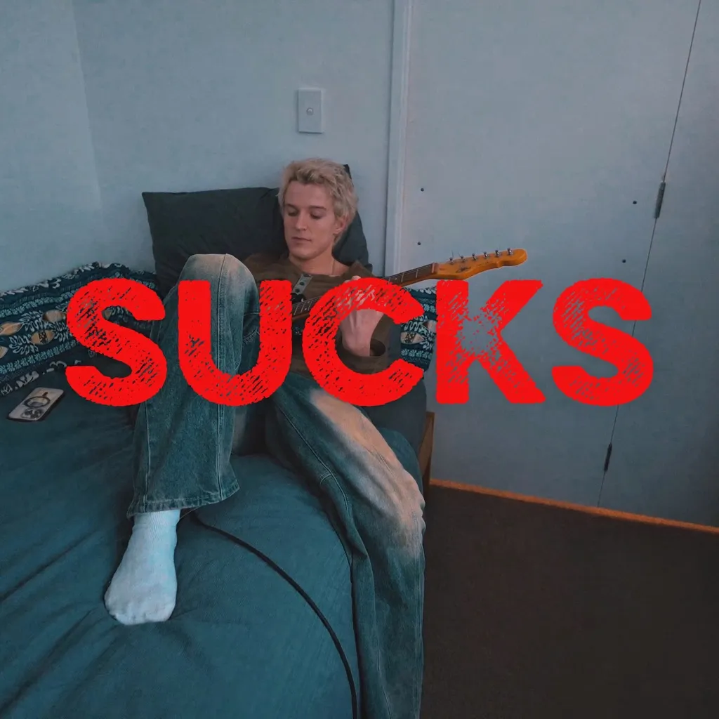Sucks by Flynn Adamson cover