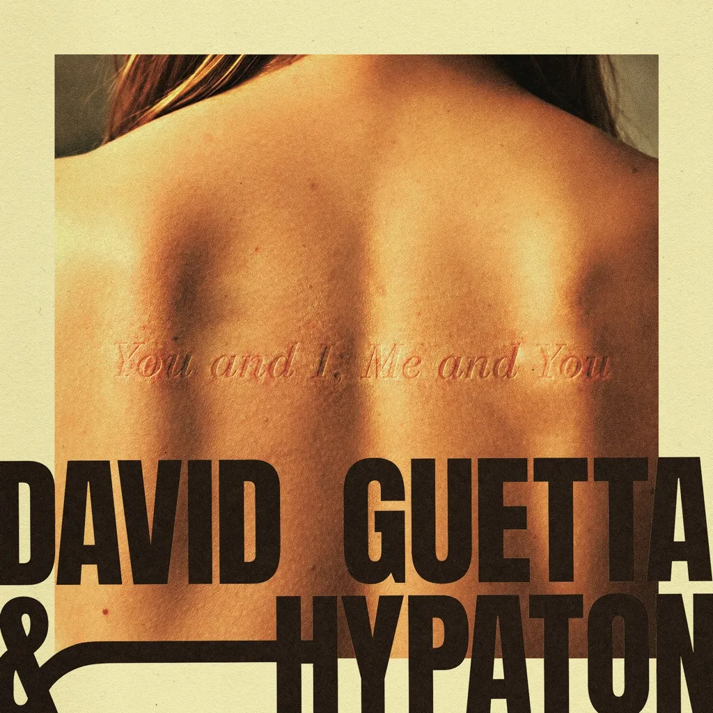 You And I, Me And You by David Guetta And Hypaton cover