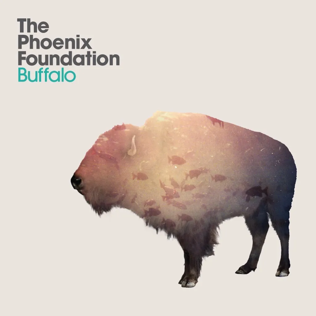 Buffalo by The Phoenix Foundation cover