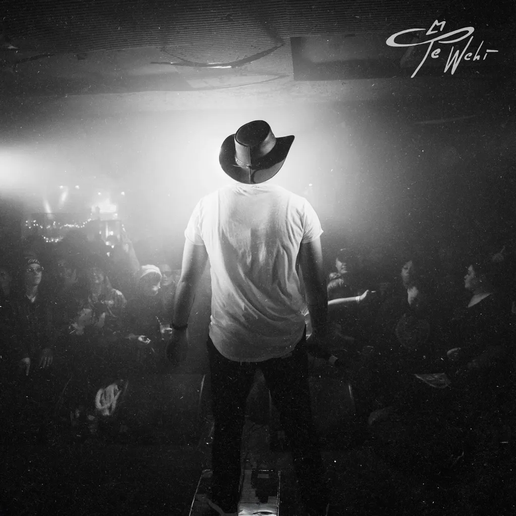 Down To The Wire by Te Wehi cover