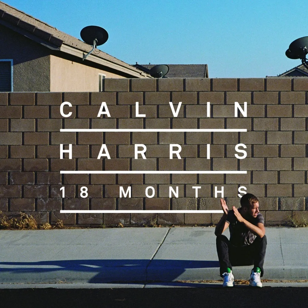 Drinking From The Bottle by Calvin Harris feat. Tinie Tempah cover