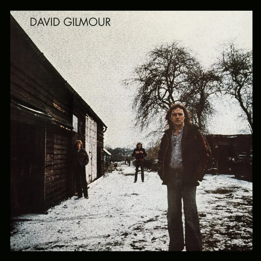 David Gilmour by David Gilmour cover