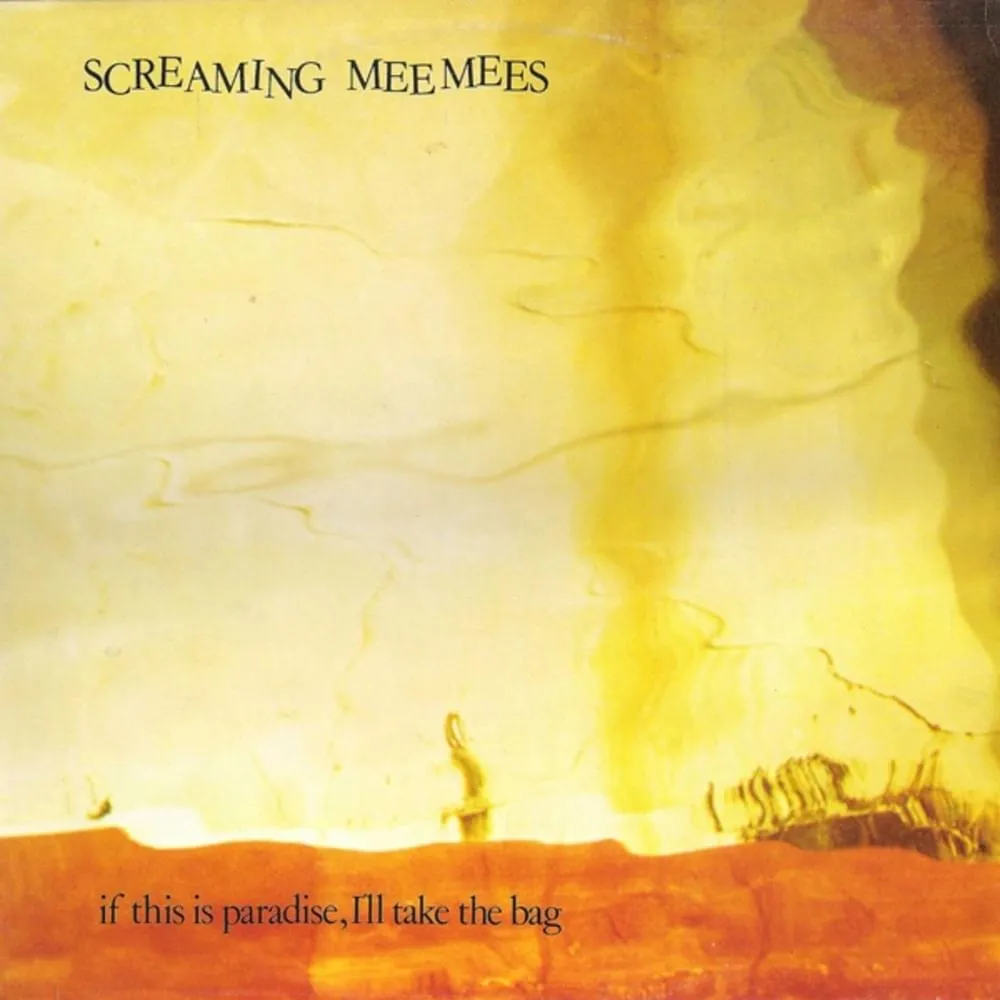 See Me Go by Screaming Mee Mees cover