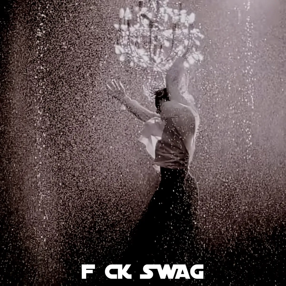 F**k Swag by Nettspend cover