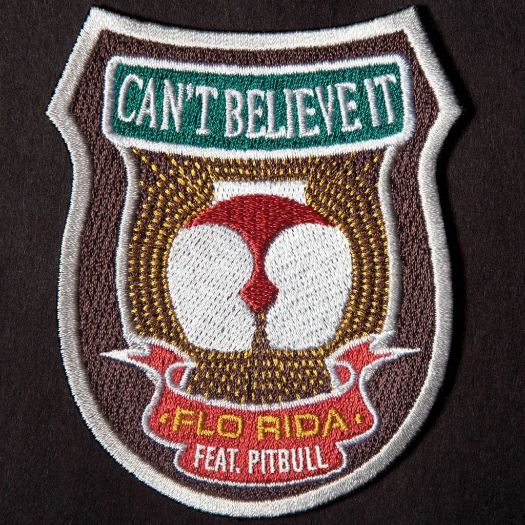 Can't Believe It by Flo Rida feat. Pitbull cover