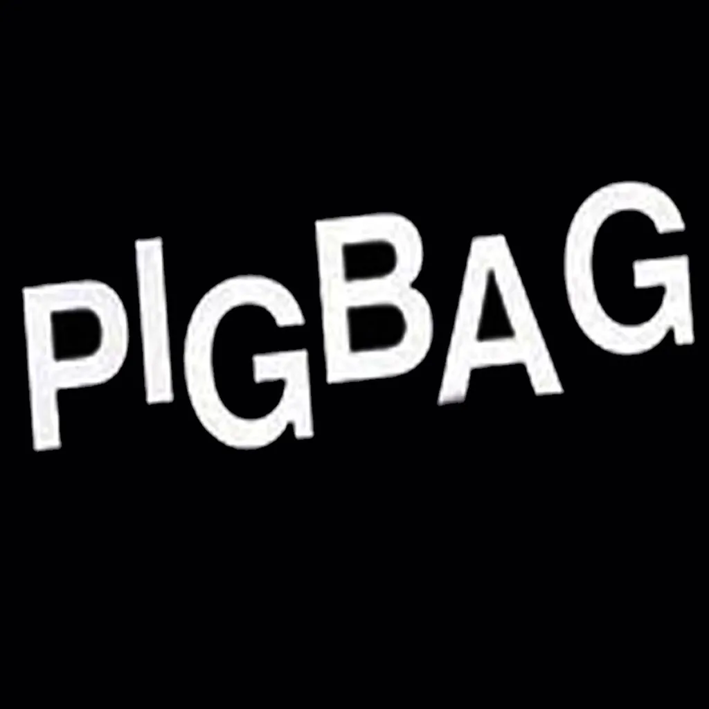 Papa's Got A Brand New Pigbag by Pigbag cover