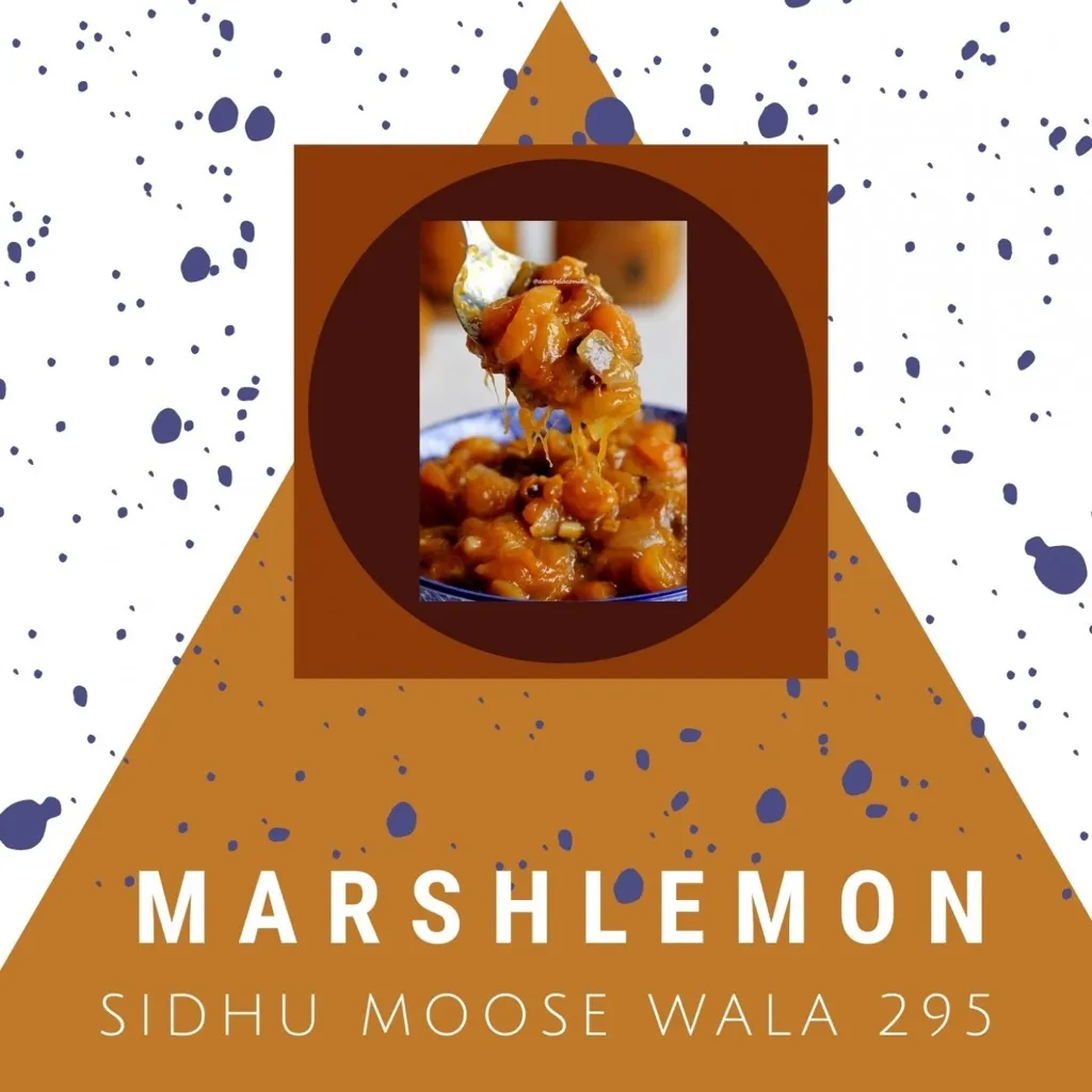 295 by Sidhu Moose Wala cover