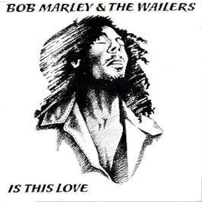 Is This Love by Bob Marley And The Wailers cover