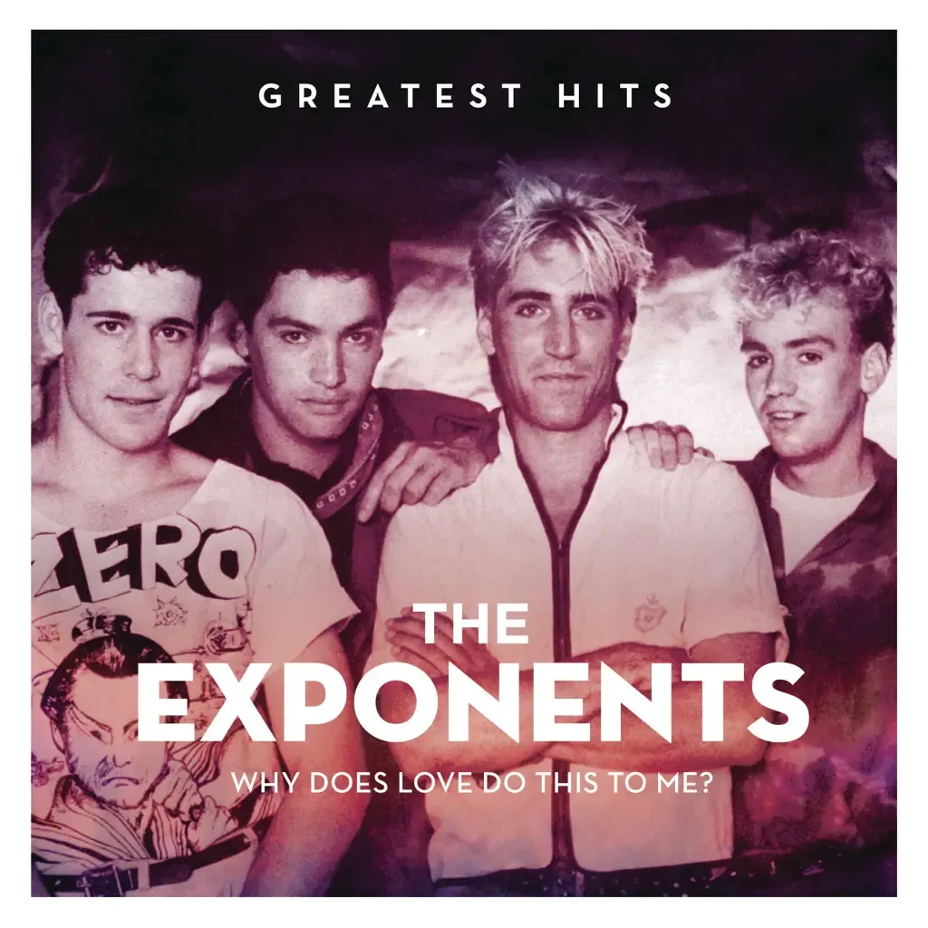 Why Does Love Do This To Me? The Greatest Hits by The Exponents cover