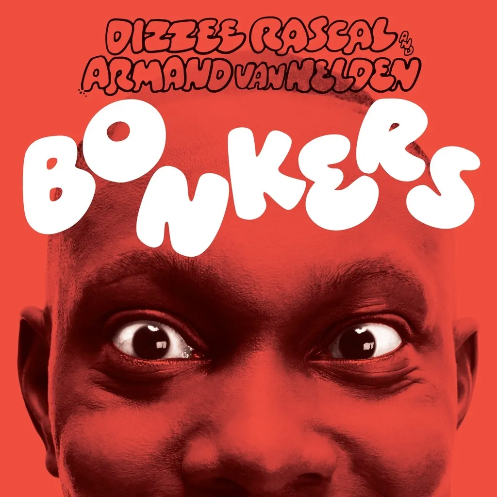 Bonkers by Dizzee Rascal feat. Armand Van Helden cover