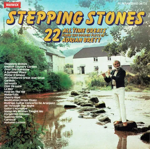 Stepping Stones by Adrian Brett cover