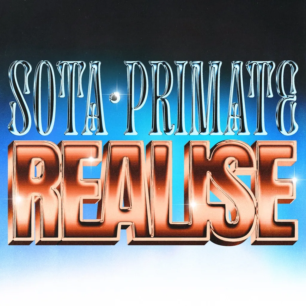 Realise by Sota And Primate cover