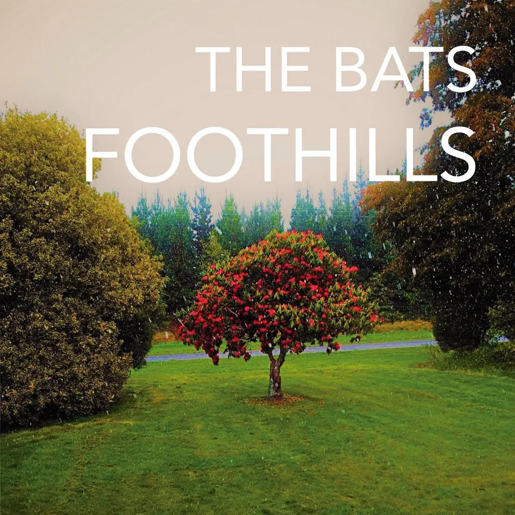 Foothills by The Bats cover