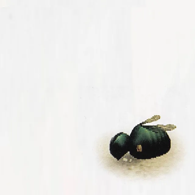 Wing And Shell by Bug Michigan cover