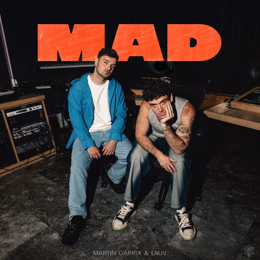 Mad by Martin Garrix And Lauv cover