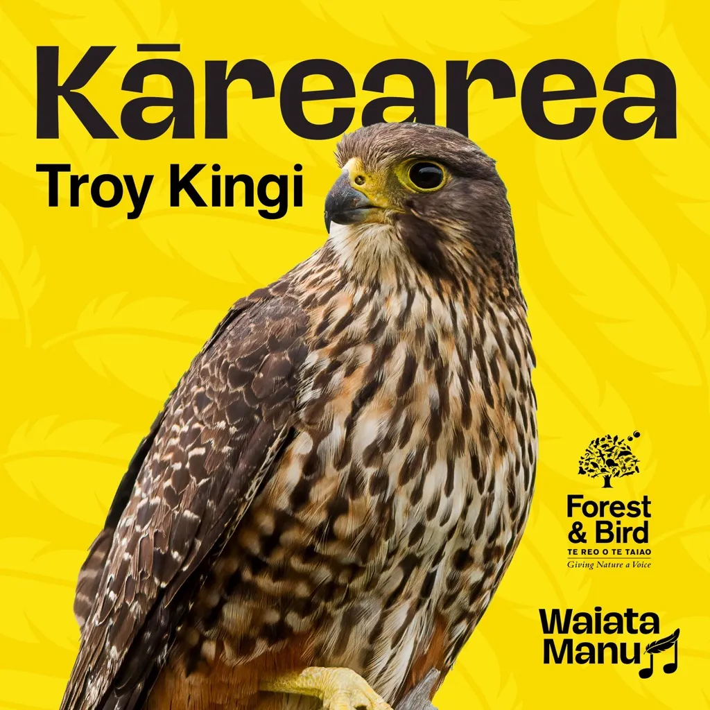 Kārearea by Troy Kingi And Delaney Davidson cover