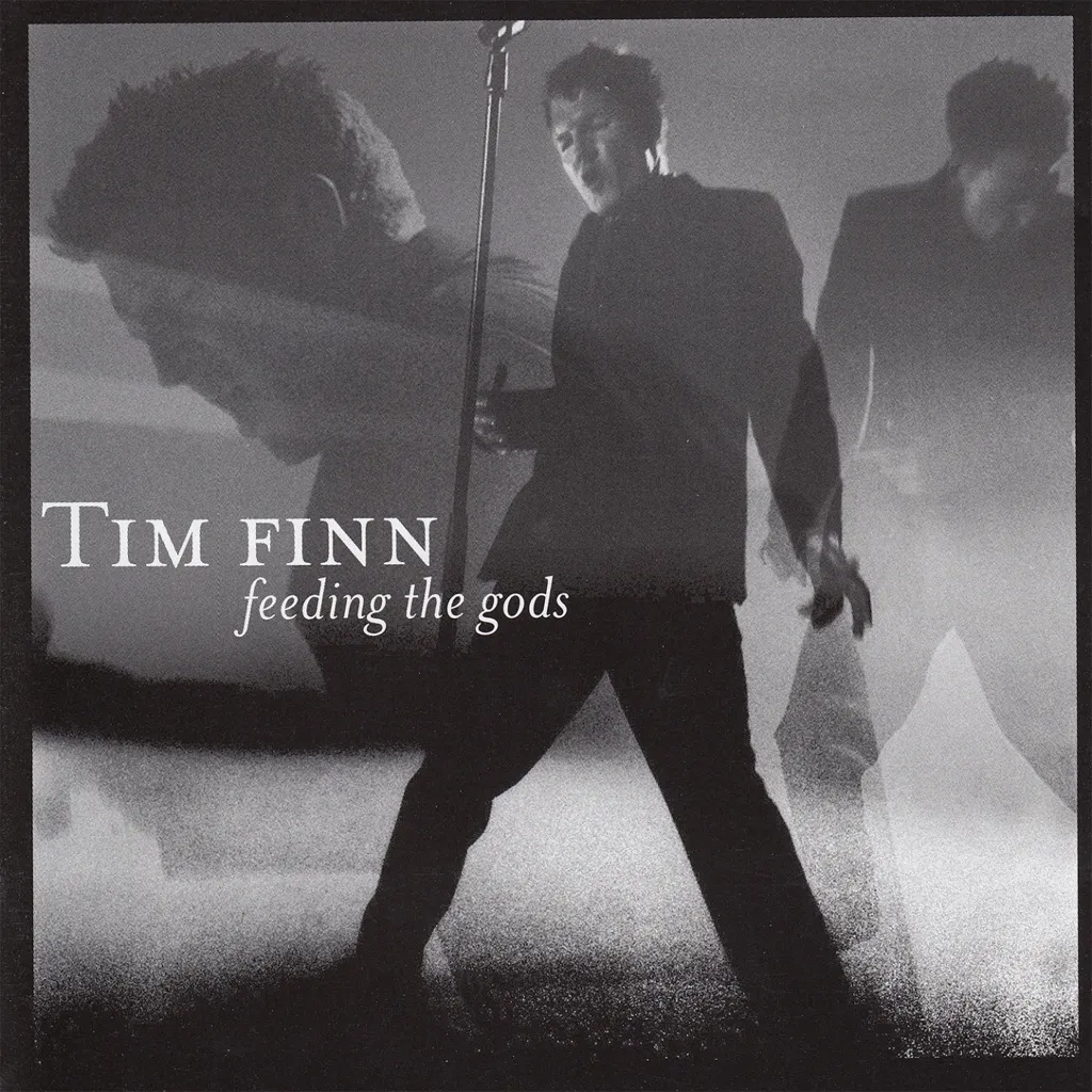 FEEDING THE GODS by Tim Finn cover