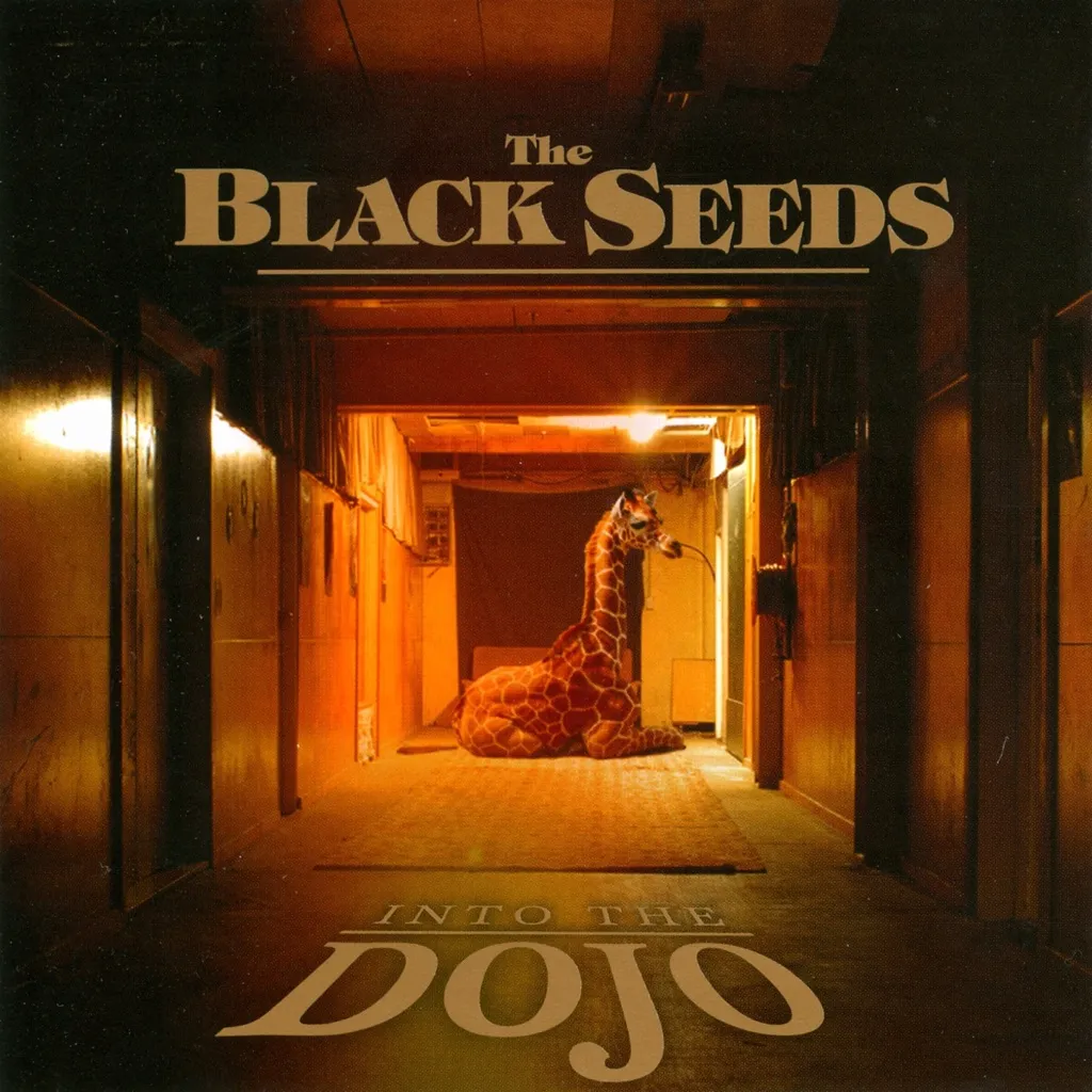 Into The Dojo by The Black Seeds cover