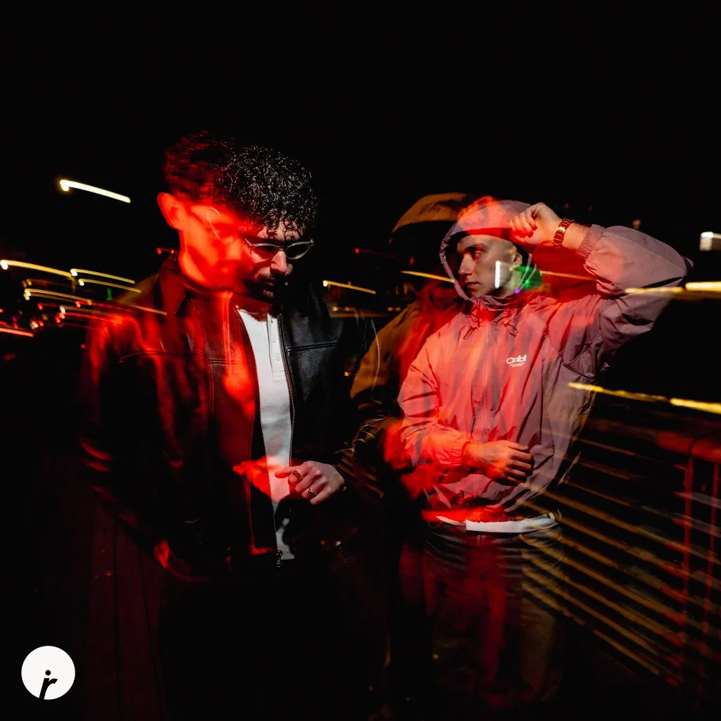 Back To Funk by Bushbaby And Danny P cover