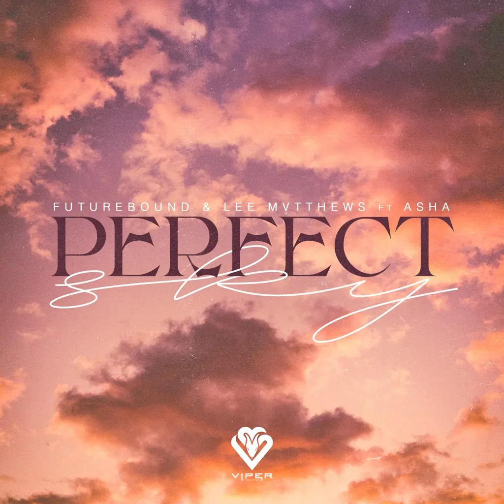 Perfect Sky by Futurebound, Lee Mvtthews And Asha cover