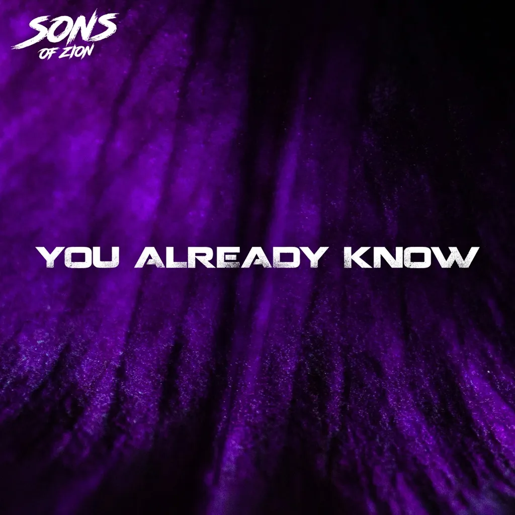 You Already Know by Sons Of Zion cover